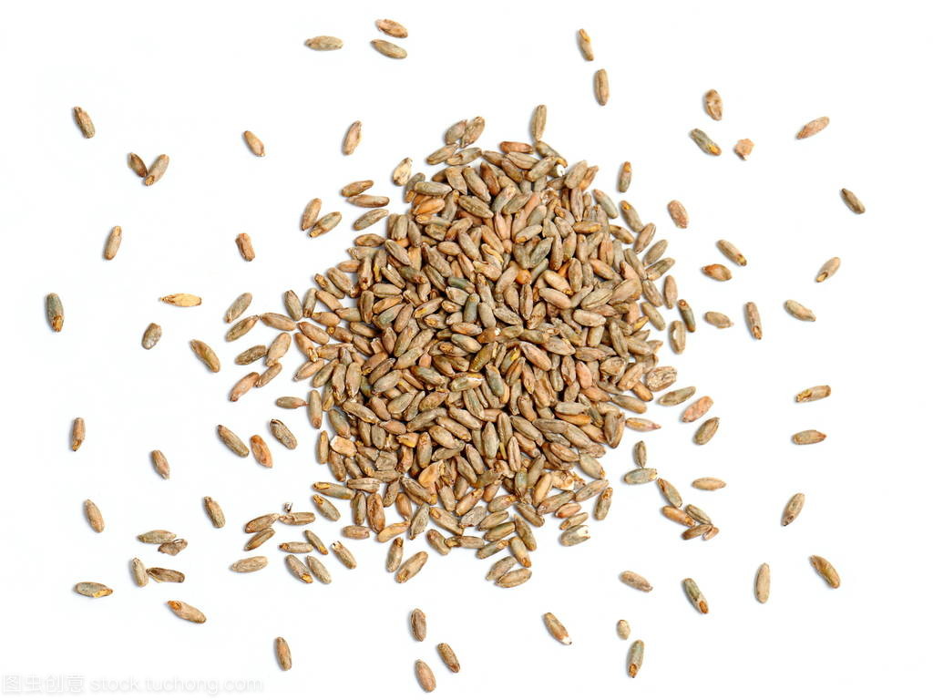 黑麦谷物 白色背景下的营养与艺术