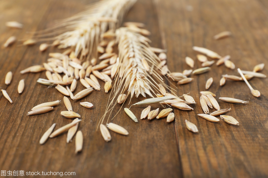 聆听谷物之语 黑麦在桌面上的微观叙事